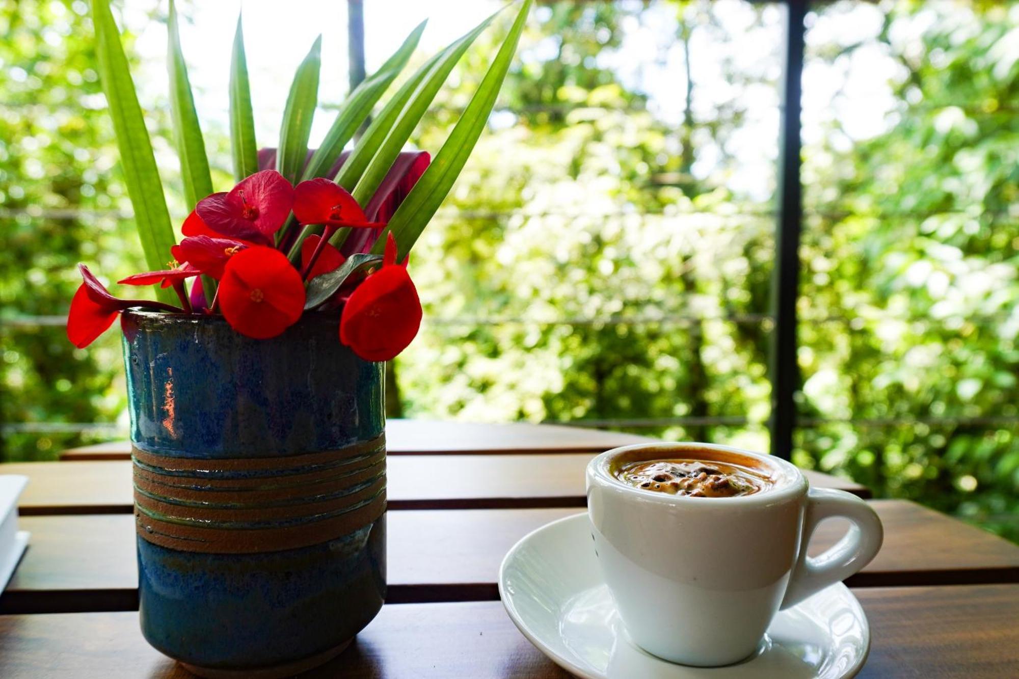 Sueno Rio Celeste Boutique B&B Bijagua Bagian luar foto