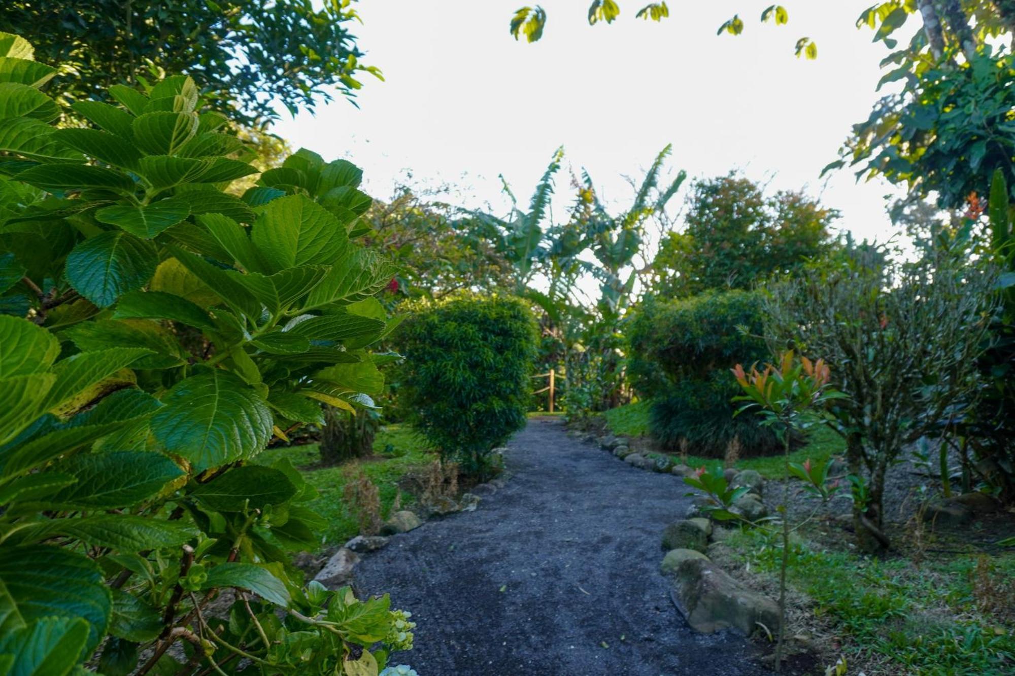 Sueno Rio Celeste Boutique B&B Bijagua Bagian luar foto