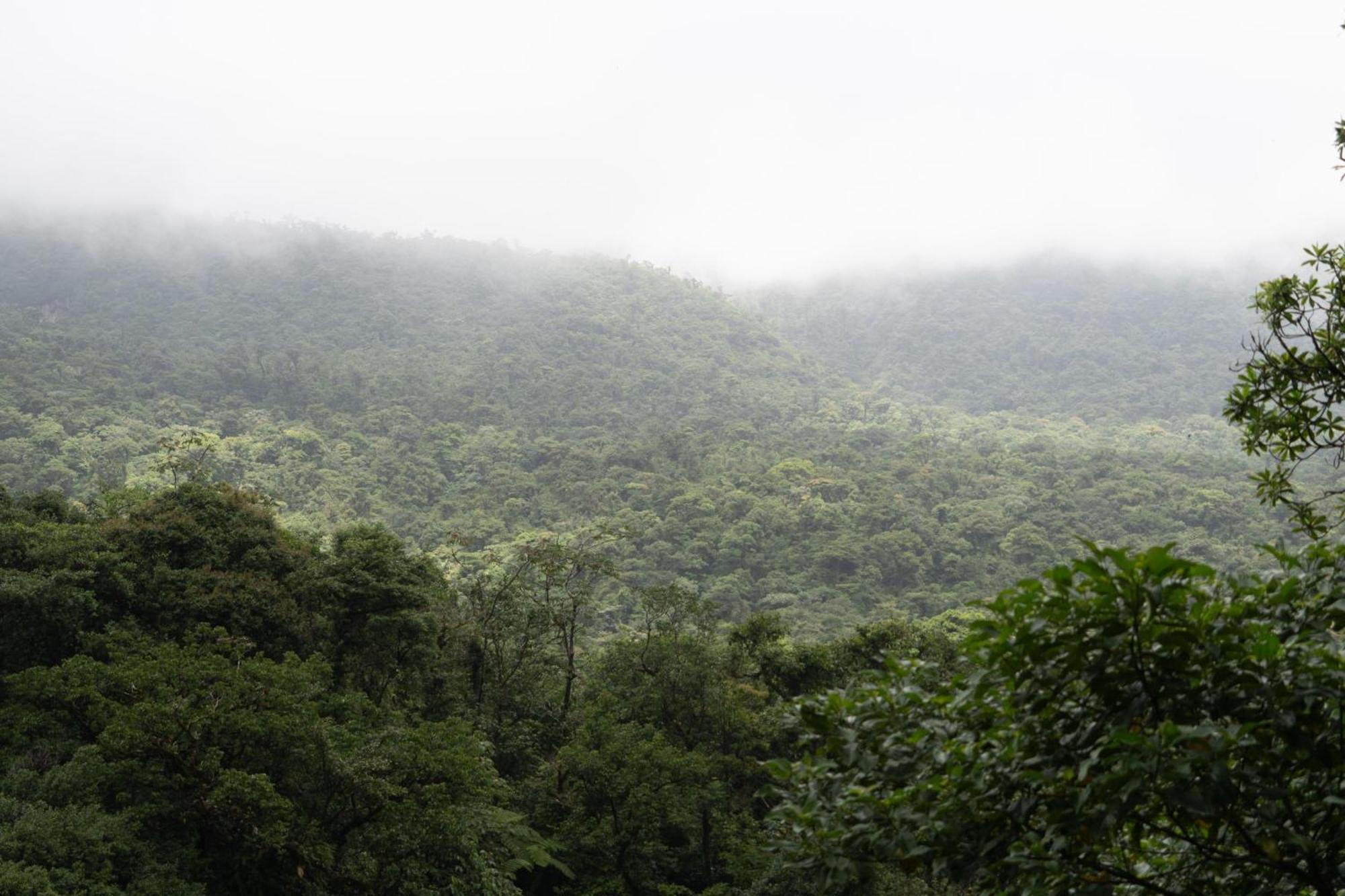 Sueno Rio Celeste Boutique B&B Bijagua Bagian luar foto